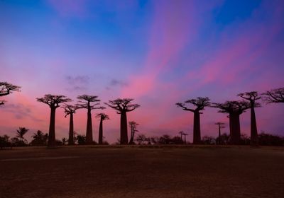 shock culturale e crisi d'identit&agrave; di chi vive all'estero